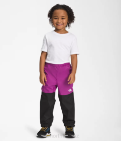 Purple Cactus Flower BP48272 Clothing The North Face Antora Rain Pants Kids